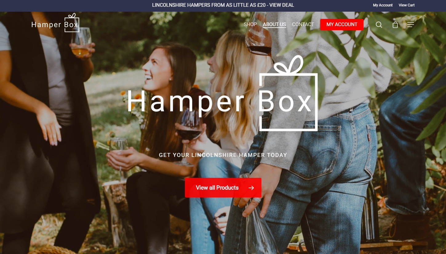 boston lincs website portfolio